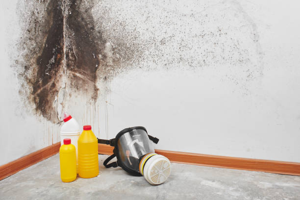 Best Attic Mold Removal  in Haw River, NC