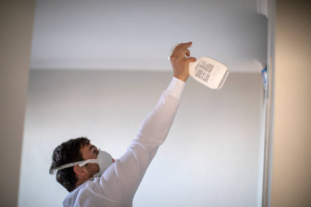Best Local Mold Removal Service  in Haw River, NC