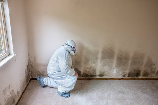 Best Emergency Mold Removal  in Haw River, NC